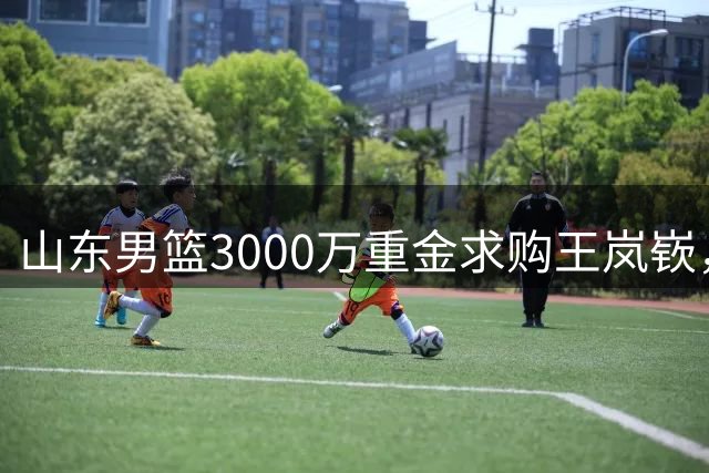 山东男篮3000万重金求购王岚嵚，转会谈判陷入僵局